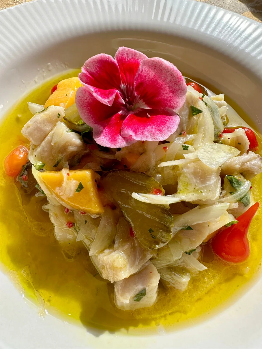 Ceviche