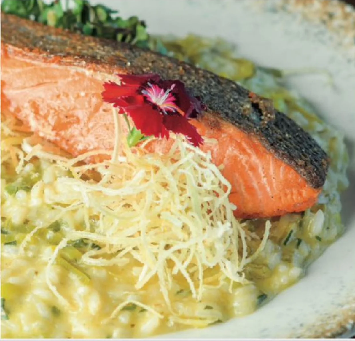 Risoto de salmão