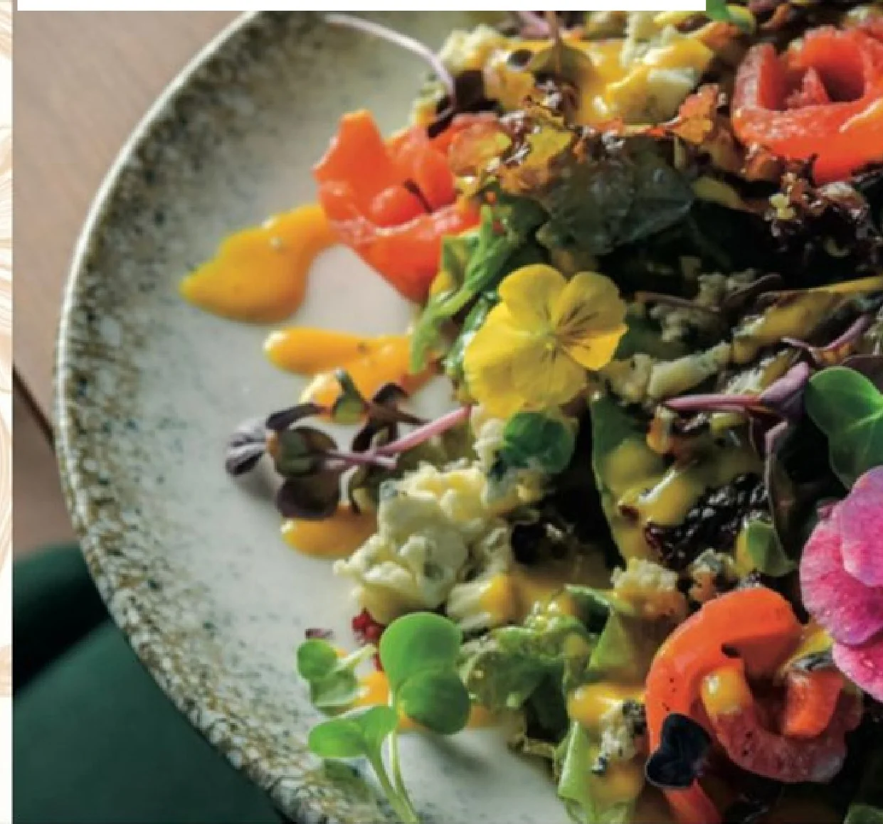 Salada 360°